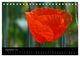 Thumbnail-14
