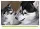 Thumbnail-10