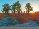 Thumbnail-8