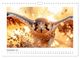 Thumbnail-14