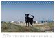 Thumbnail-11