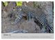 Thumbnail-12