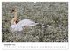Thumbnail-14