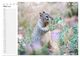 Thumbnail-8