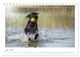 Thumbnail-9