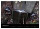 Thumbnail-14