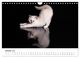 Thumbnail-12