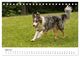 Thumbnail-9