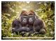Thumbnail-14