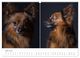 Thumbnail-11