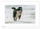 Thumbnail-14
