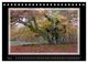 Thumbnail-10