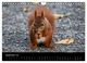 Thumbnail-11