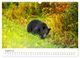 Thumbnail-10