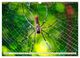 Thumbnail-8