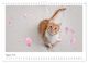 Thumbnail-10