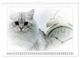 Thumbnail-13