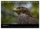Thumbnail-14