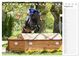 Thumbnail-10