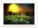 Thumbnail-14