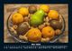 Thumbnail-9