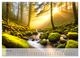 Thumbnail-8