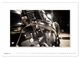 Thumbnail-10