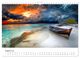 Thumbnail-13