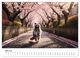 Thumbnail-9