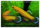 Thumbnail-12