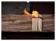 Thumbnail-11