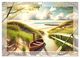 Thumbnail-9