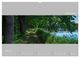 Thumbnail-10
