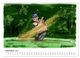 Thumbnail-11
