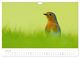 Thumbnail-9