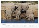 Thumbnail-10