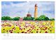Thumbnail-9