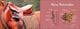Thumbnail-10