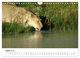 Thumbnail-10