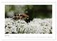 Thumbnail-11