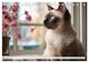 Thumbnail-12