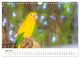 Thumbnail-8