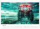 Thumbnail-9