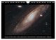 Thumbnail-14