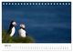 Thumbnail-9