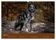 Thumbnail-10