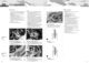 Thumbnail-10