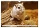 Thumbnail-8