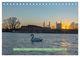 Thumbnail-10