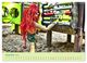 Thumbnail-14